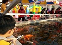 Cá 'bú bình' xuất hiện ở Việt Nam