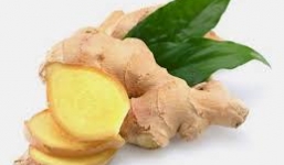 Bài thuốc Đông y trị viêm xoang hiệu quả