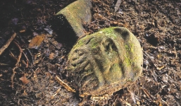 Phát hiện “thành phố vàng bị mất tích” của Hầu Vương