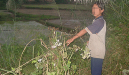 Vết xước trên ngực tố cáo hung thủ giết người