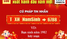 Xem ngày giờ, hướng xuất hành năm Ất Mùi 2015 đón lộc cả năm