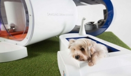 Nhà thông minh cho... chó giá 30 nghìn USD