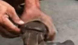 Video: Câu cá trê 'khủng' dưới cống ở TP.HCM