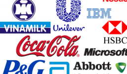 Nơi làm việc tốt nhất ở Việt Nam là ở đâu?