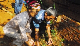 Phát hiện bé trai sơ sinh trong chuồng bò