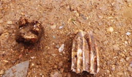 Hãi hùng đào móng nhà, tìm thấy 11 bộ xương