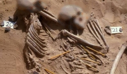 Phát hiện 11 bộ xương người khi đào móng nhà