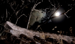 Bí ẩn kinh hoàng quanh những ngôi làng 'ma ám'