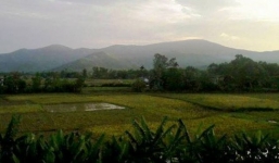 Bị đưa vào rừng hiếp dâm khi đi trang điểm cô dâu về