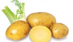 Thực phẩm tối kỵ với người bị sỏi thận
