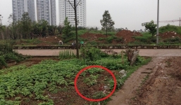 Nghi can giết xe ôm trong đêm có dáng người gầy