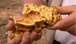 Thợ mỏ Australia đào được cục vàng ròng nặng 2,5 kg