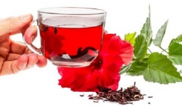 Công dụng chữa bệnh của hoa dâm bụt