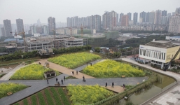 Chiêm ngưỡng trang trại 10.000 m2 trên nóc nhà 