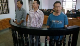 Bố vợ và con rể dắt nhau vào tù vì trồng cần sa kiếm lời