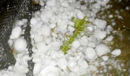 Xuất hiện mưa đá ở Lào Cai