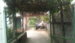 Hà Nội: Chấn động cụ bà đổ xăng đốt chồng rồi treo cổ tự vẫn