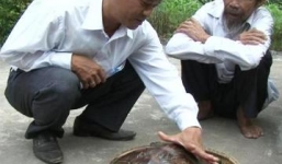 Bắt được rùa biển quý hiếm trên phá Tam Giang