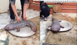 Người tung quái vật giả ở Vĩnh Phúc sẽ bị xử lý thế nào?