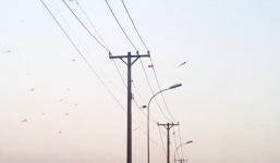 Thả diều, nam thanh niên bị điện phóng cháy xém