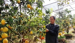 Tuyệt chiêu hốt bạc khiến đại gia lác mắt của lão nông Việt