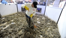 Rùng mình lễ hội 'hành quyết' hàng nghìn con rắn đuôi chuông ở Mỹ