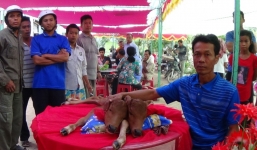 Bê hai đầu ở An Giang chết, người dân lập bàn thờ