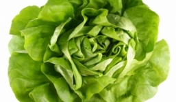 Đối tượng 'tuyệt đối' không ăn rau xà lách 