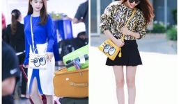 Trà Ngọc Hằng, Ngọc Trinh “dùng chung” túi xách fake Hermes 