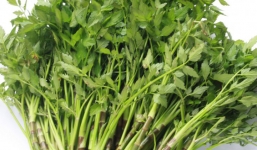 Bài thuốc chữa bệnh hiệu quả từ rau cần nước