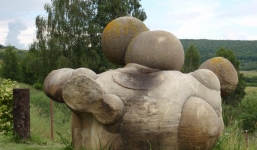 Kinh ngạc loại đá tự lớn lên sau cơn mưa