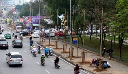 Ảnh: Hàng cây mới còi cọc vừa được trồng thay thế trên phố Hà Nội