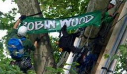 Người dân các nước phản ứng như thế nào với việc chặt cây xanh?