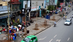 'Cây trồng mới không phải vàng tâm: Xấu và khó sống được lâu dài'