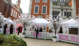 Nữ đại gia chi 2,2 tỷ làm tiệc thôi nôi cho con gái