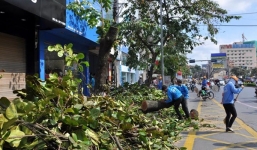 Các nhà tài trợ trong vụ chặt cây xanh Hà Nội lên tiếng