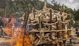 Thiêu hủy hơn 6,1 tấn ngà voi để lấy phân bón cây