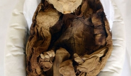 Video: Phát hiện xác ướp 1.000 năm tuổi của em bé sơ sinh còn nguyên vẹn