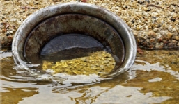 Chất thải con người chứa vàng, đáng giá hàng chục triệu đô