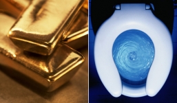 Các nhà khoa học tìm thấy vàng trong phân người