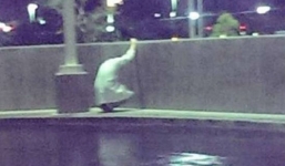 Bác sĩ gục khóc nức nở sau khi bệnh nhân qua đời