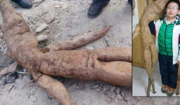 Đào được củ sắn dây khổng lồ hình người ở Trung Quốc