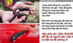 Video: Thực hư tin đỉa trong bụng người do ăn bánh kẹo Trung Quốc