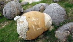 Video: Bí ẩn những hòn đá có thể trưởng thành và...'đẻ con'