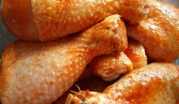 Tạo thịt gà trong phòng thí nghiệm