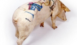 Da lợn xăm hình giá 1,5 tỉ đồng