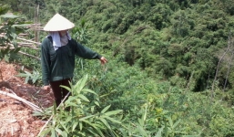 Lạng Sơn: “Sống dở chết dở” vì cách xử lý của chính quyền   