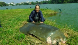 Điểm tin nóng ngày 30/3: Cụ rùa hồ Gươm qua đời chỉ là tin đồn