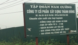 Dự án nghìn tỉ của nữ đại gia giàu hơn bầu Đức làm bãi trồng chuối