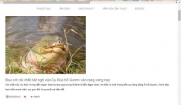 Về thông tin cụ Rùa Hồ Gươm chết: Có thể khởi tố vụ án hình sự